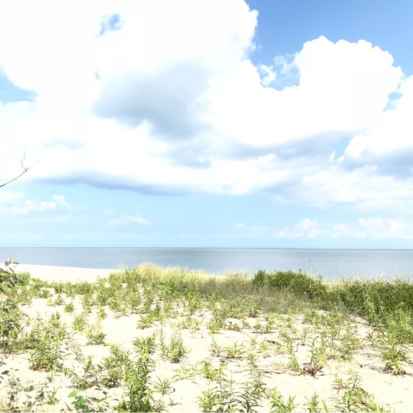 Meet your Posher, Angela 🦋🌊🦋🌊🦋🌊🦋 - Picture 14 of 16